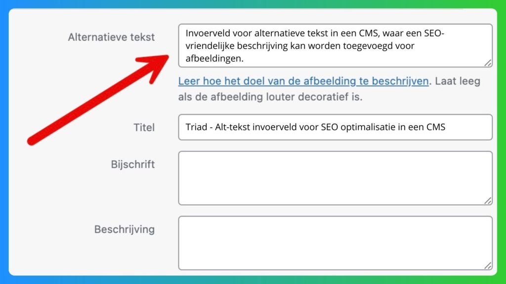 Alternative text input field in a CMS, where an SEO-friendly description can be added for images.
